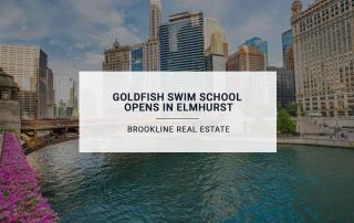 Goldfish Swim School Opens